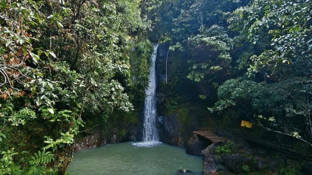 Cunca Plias: A Peaceful Waterfall Surrounded by Nature in Flores