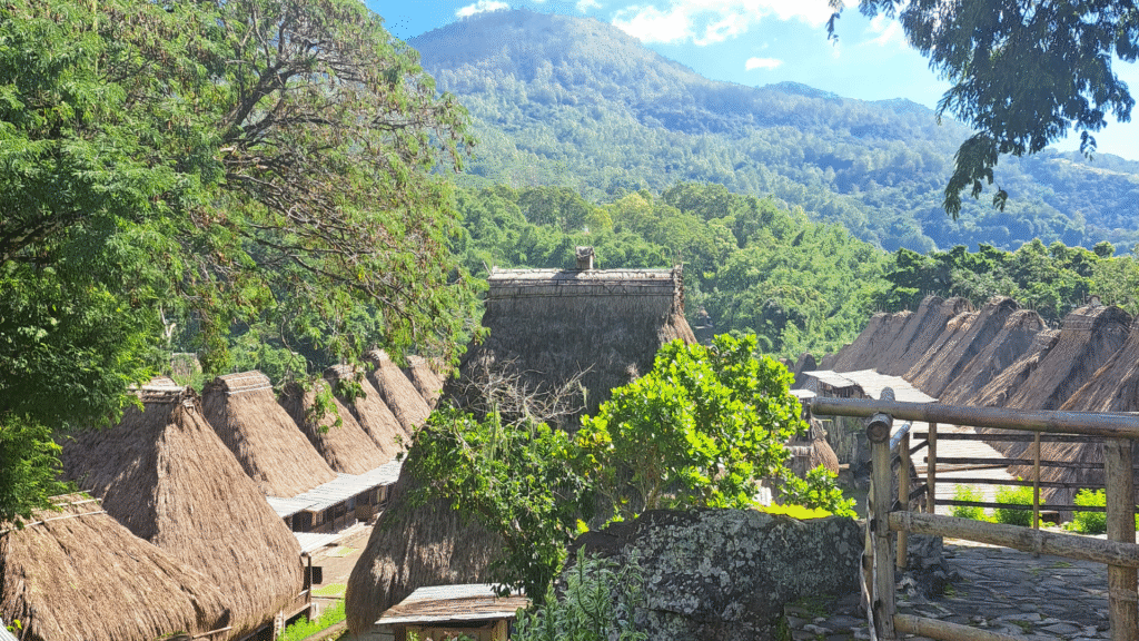 Bena Traditional Village: Explore the Living Heritage of Flores