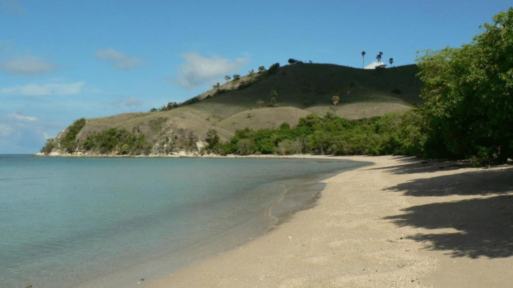 Waecicu Beach: A Peaceful Coastal Escape in Labuan Bajo