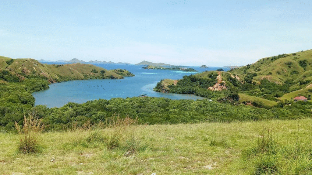 Rinca Island: Where to See Komodo Dragons in Their Natural Habitat