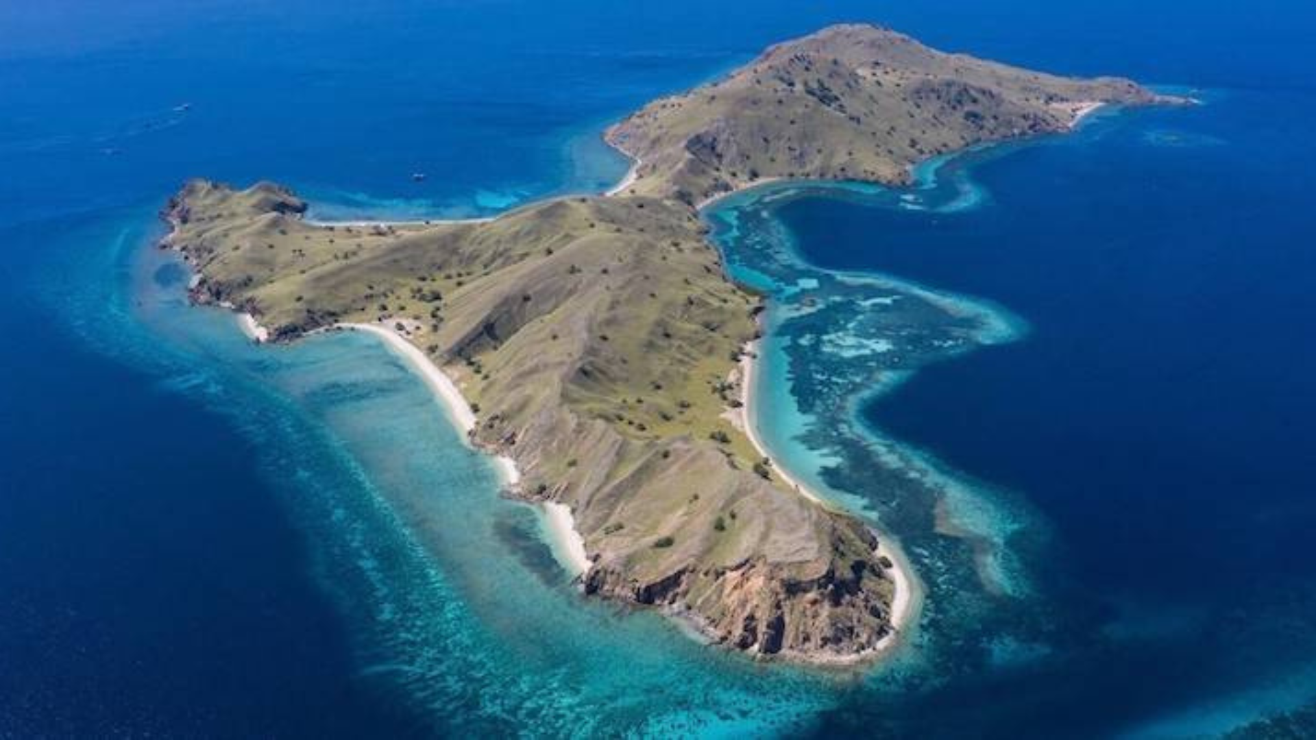 Siaba Besar: The Best Place to Snorkel with Sea Turtles in Komodo National Park