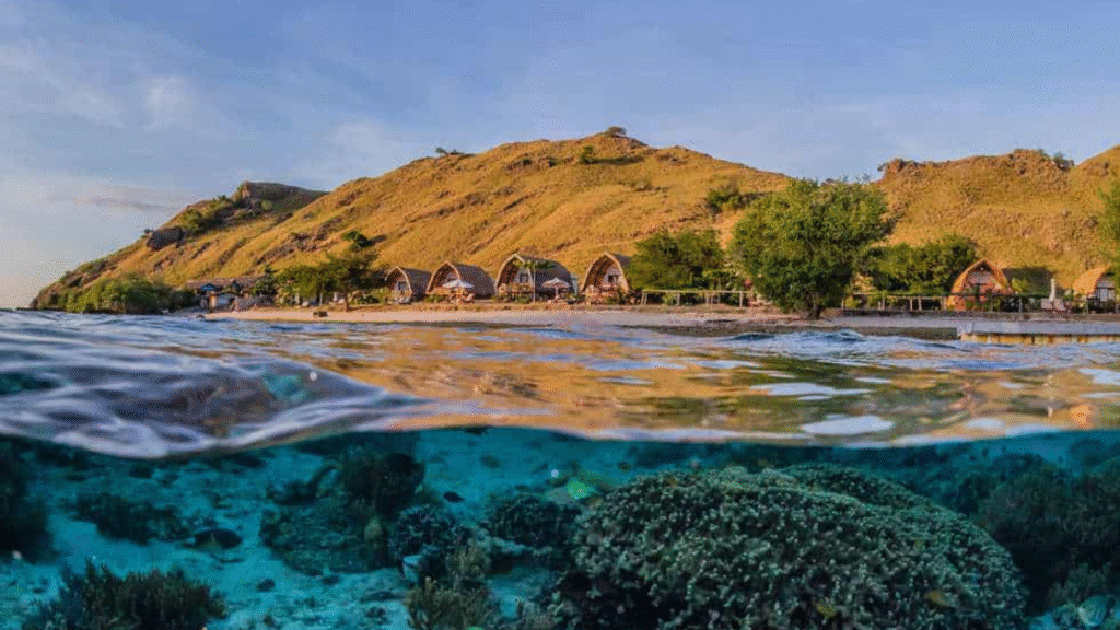Sebayur Island: A Hidden Snorkeling Paradise Near Komodo National Park