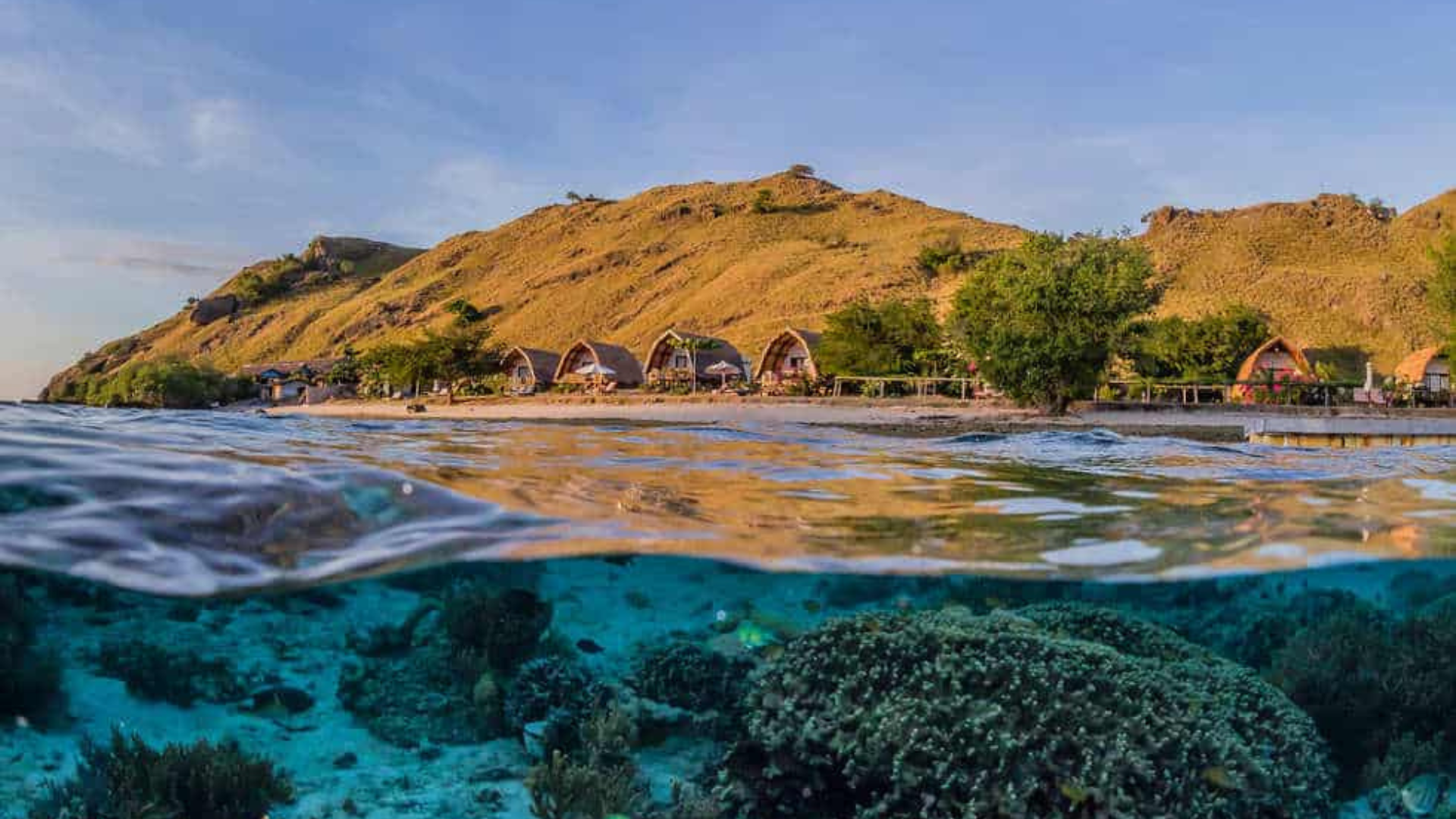 Sebayur Island: A Hidden Snorkeling Paradise Near Komodo National Park