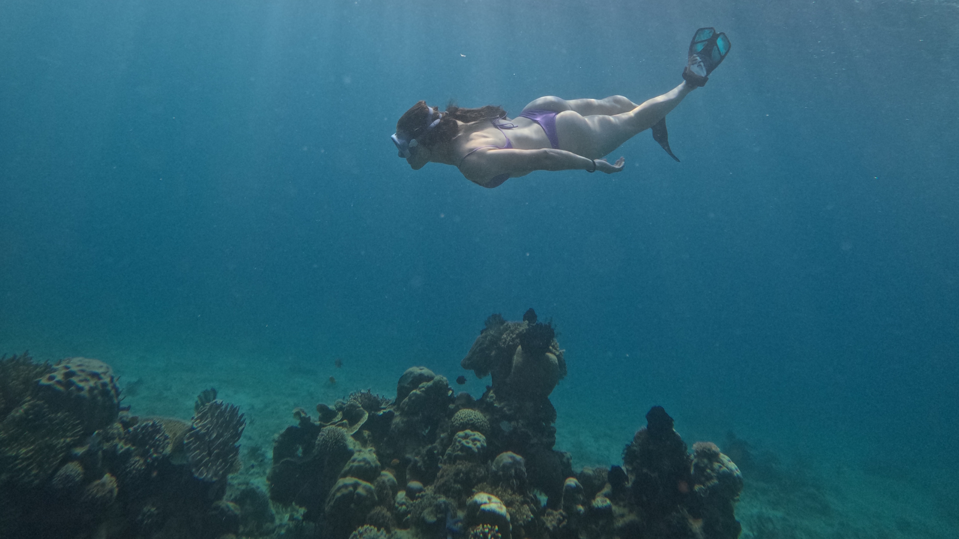 8 Best Snorkeling Spots in Komodo National Park You Should Explore
