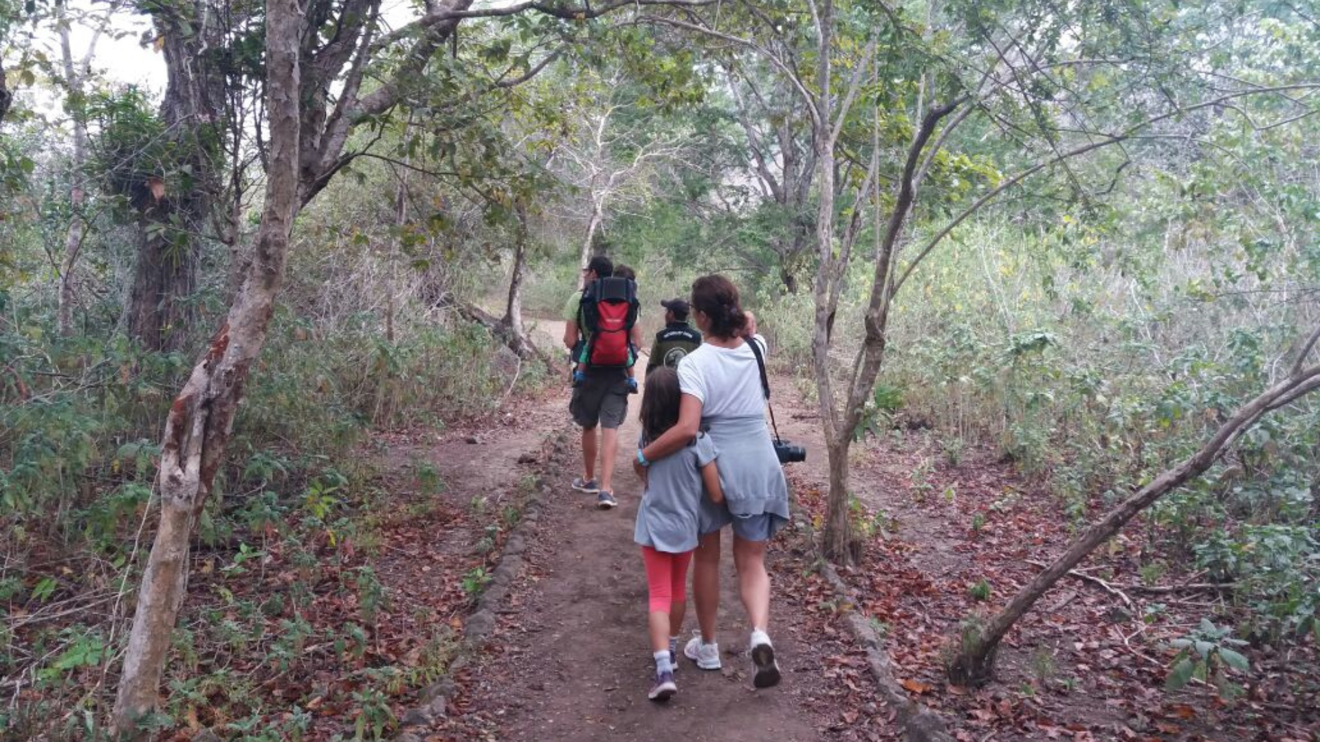 Komodo Island Trek: A Complete Guide to Hiking with Komodo Dragons