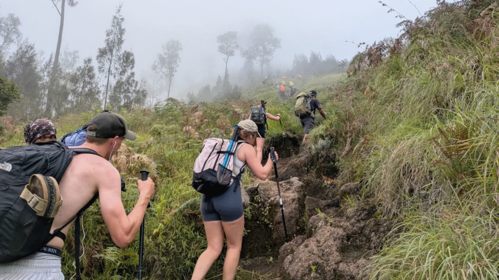 Komodo Trekking from Cruise: Experience the Legendary Dragons Up Close