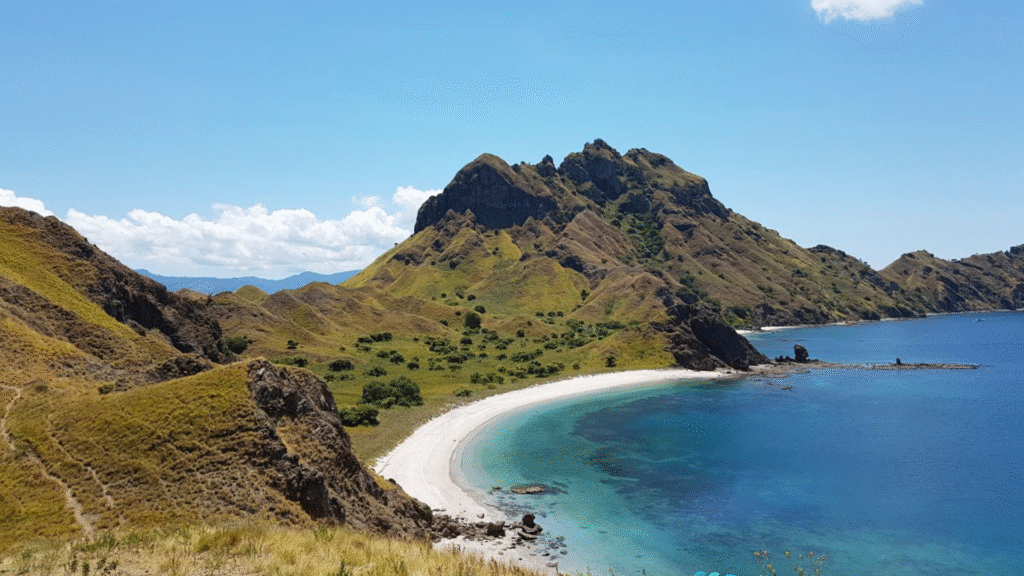 Best Things to Do in Komodo from Cruise: Top Experiences You Shouldn't Miss