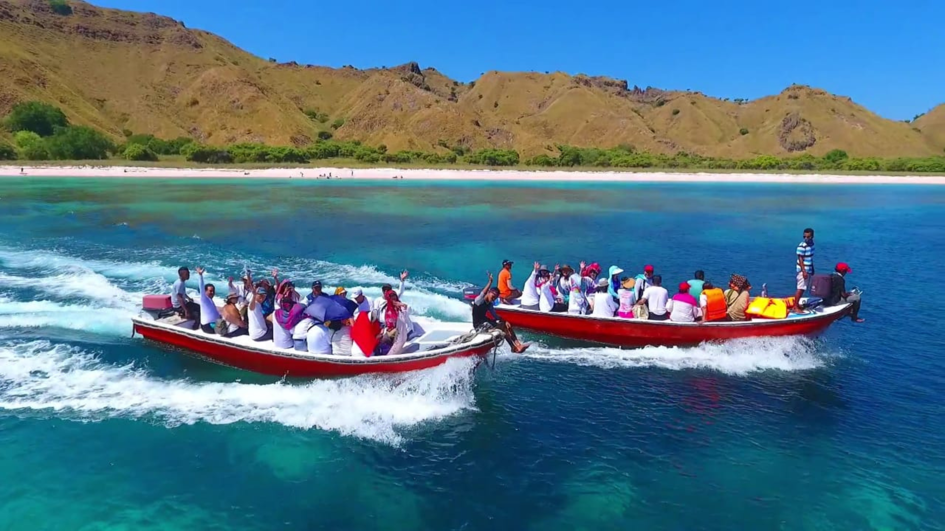 How to Visit Komodo from Cruise Ship: A Step-by-Step Guide