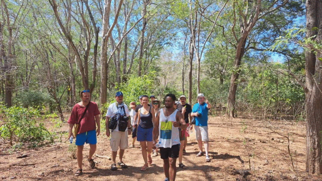 Flores Adventure Tour: Experience the Wild Side of Indonesia