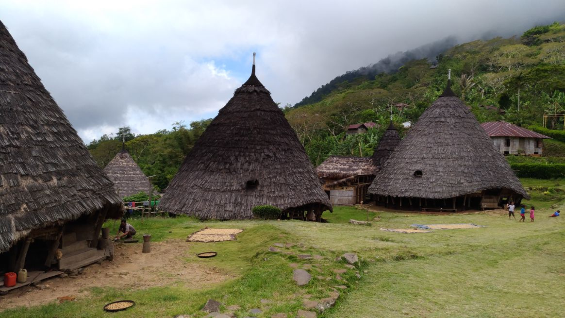 Wae Rebo Travel Guide: Everything You Need to Know Before You Go