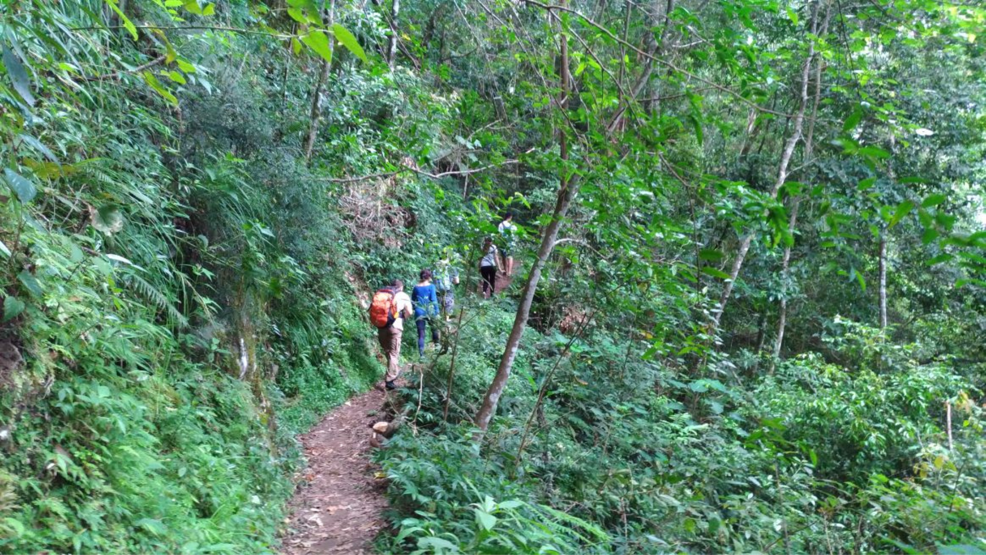 Wae Rebo Hiking Tour: Trek to Flores' Most Beautiful Traditional Village