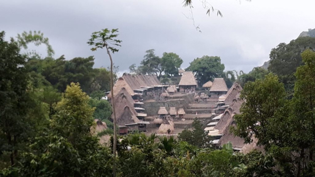Flores Travel Information: Everything You Need to Know Before Your Trip