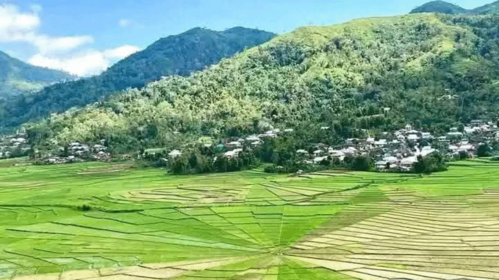 Flores Holiday Guide: Discover the Perfect Island Escape