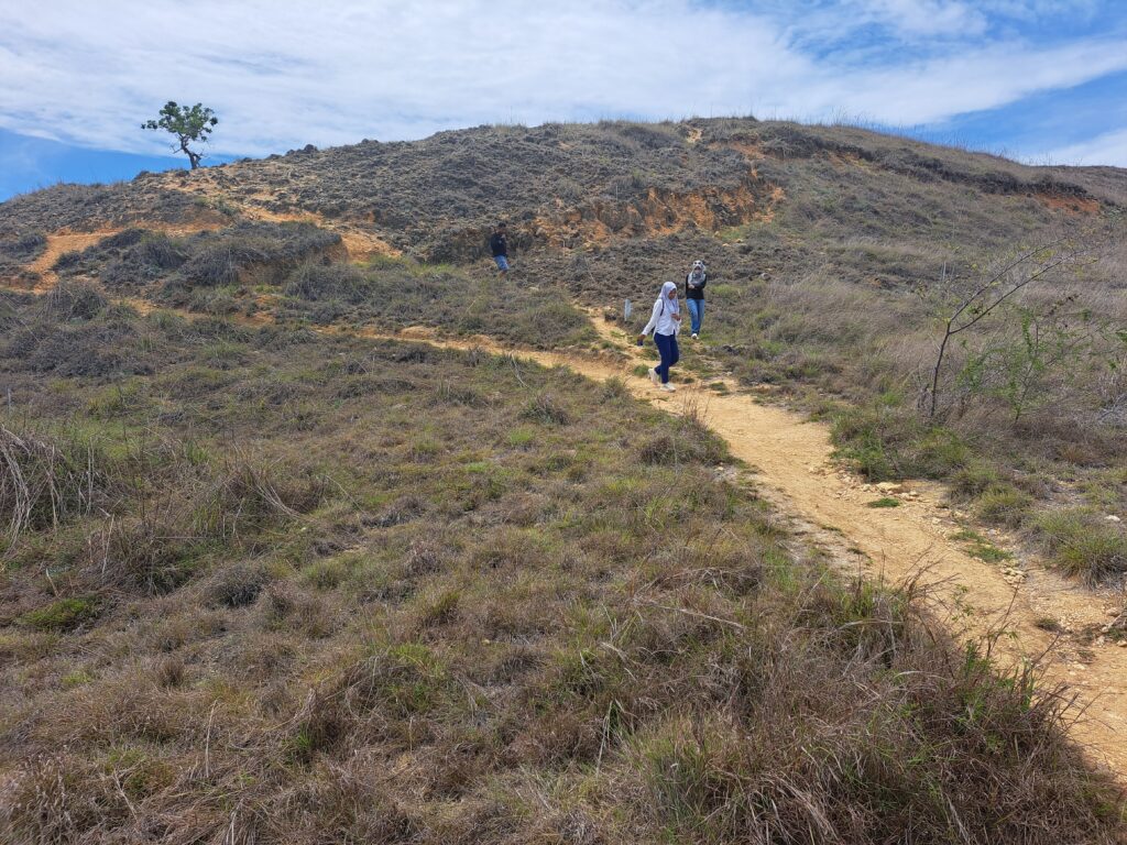 8 Best Hiking Spots in Komodo National Park & Flores You Should Explore