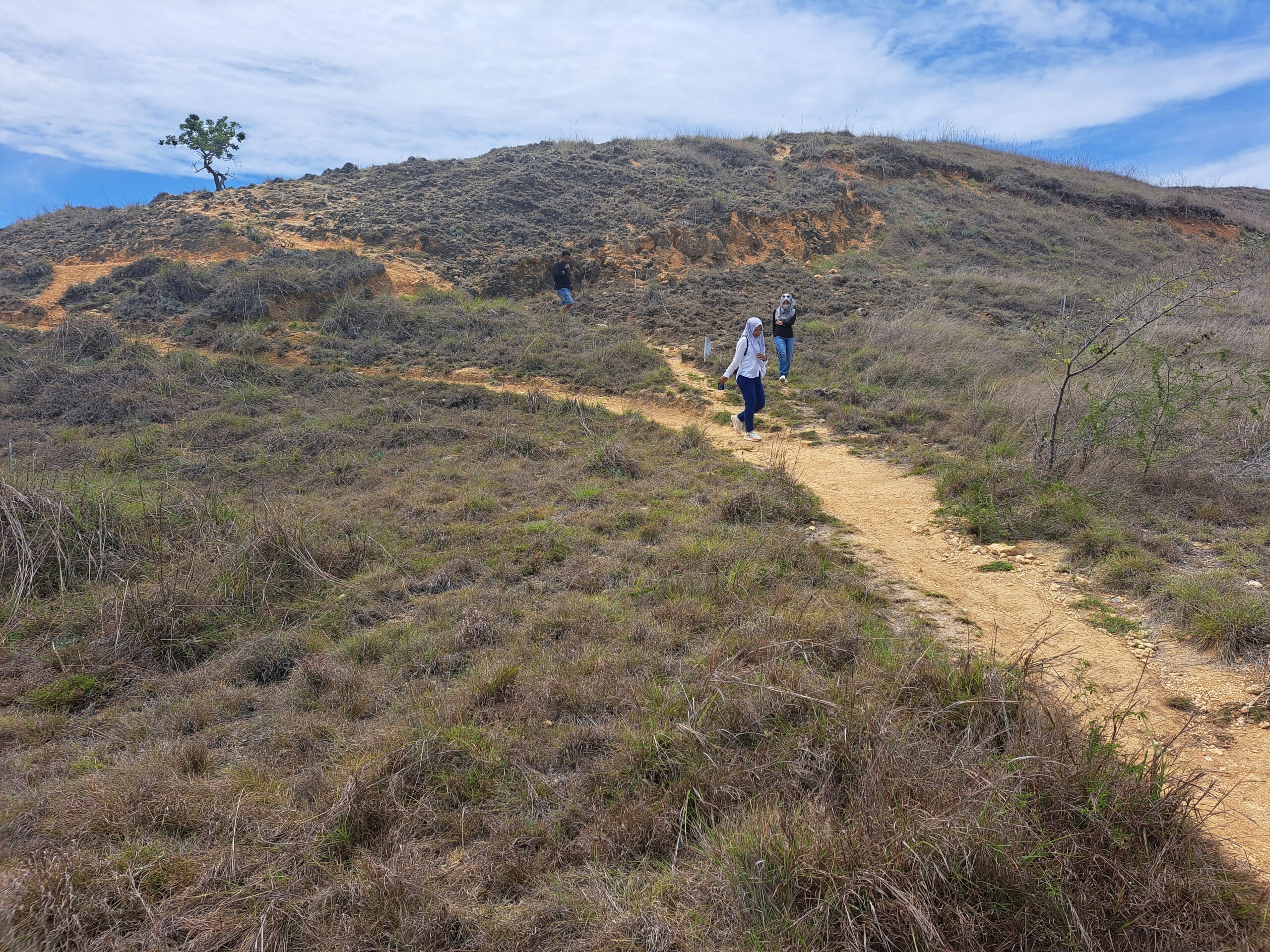 8 Best Hiking Spots in Komodo National Park & Flores You Should Explore