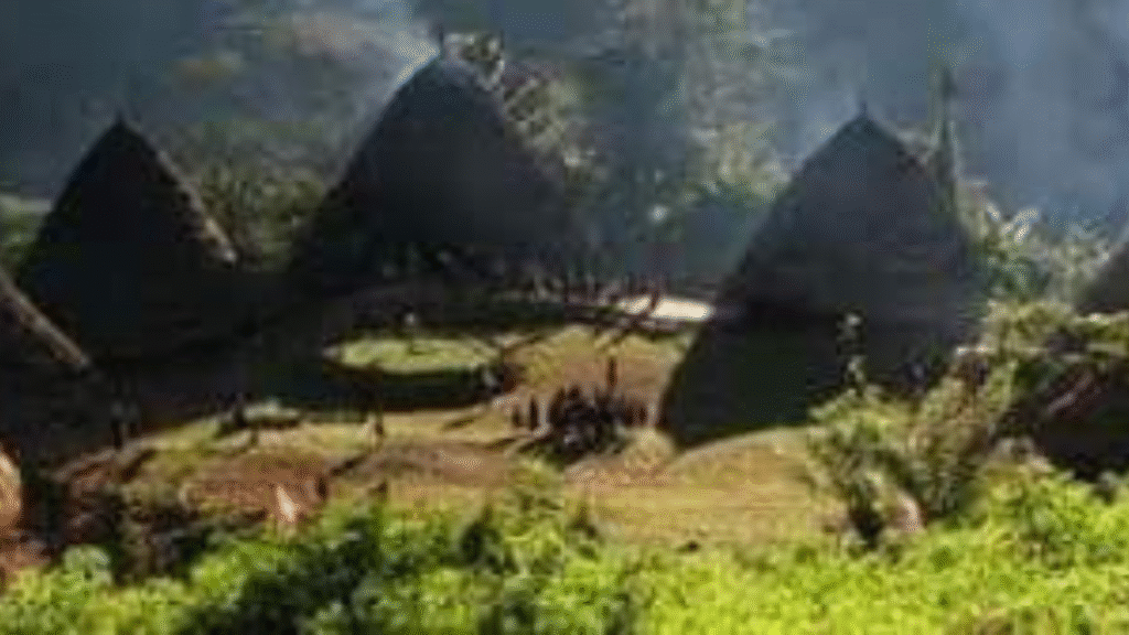 Flores Indonesia Earthquake: Travel Update and Safety Information