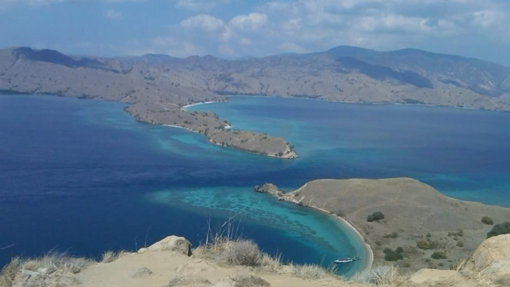 What to Expect on a Komodo Boat Trip: A First-Timer’s Guide