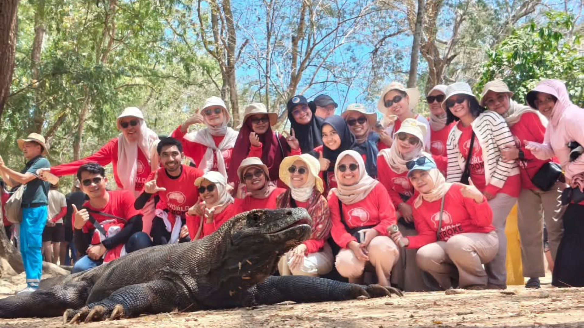 Flores Komodo Cruise Packages: Choose the Perfect Sailing Experience
