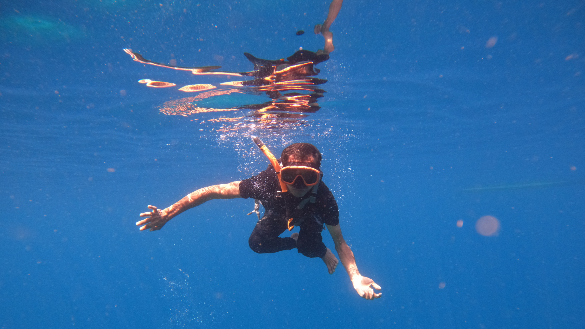 Maldives Liveaboard Alternative: Discover Komodo's Hidden Beauty