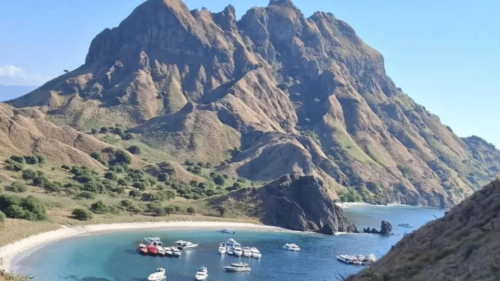 Padar Island Tour Guide: What to Know Before Your Visit