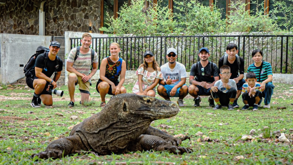 Komodo Vacation: Plan an Unforgettable Island Escape