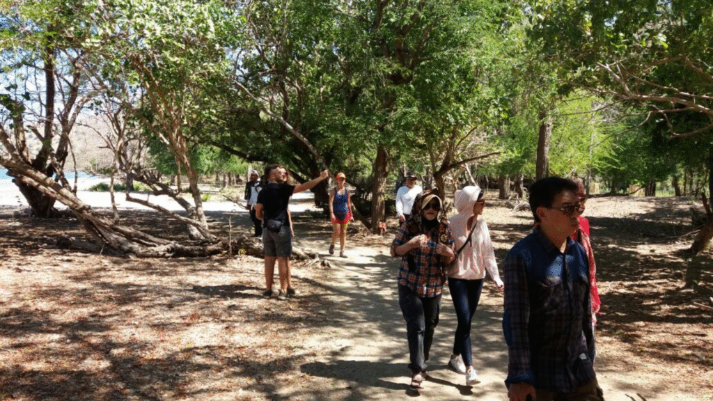 Komodo Holiday: Enjoy an Unforgettable Island Escape