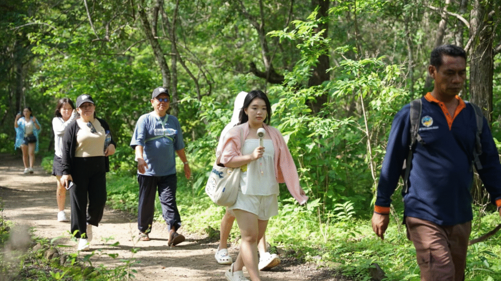 Komodo Island Vacation: Plan a Memorable Island Escape