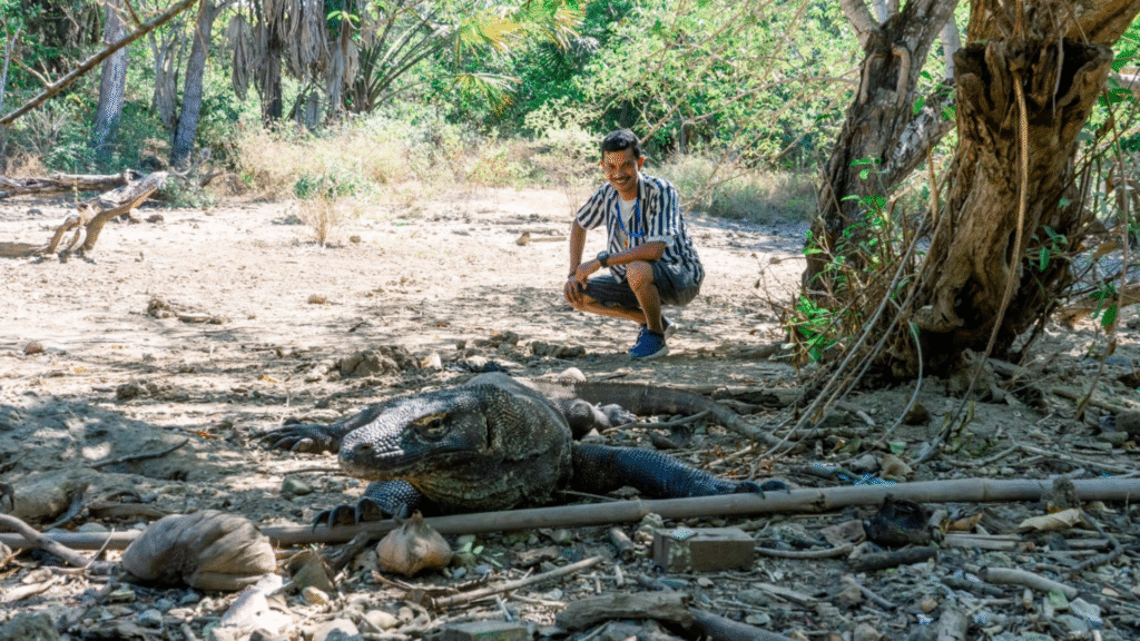 Komodo Island Holiday: Enjoy a Complete Tropical Escape