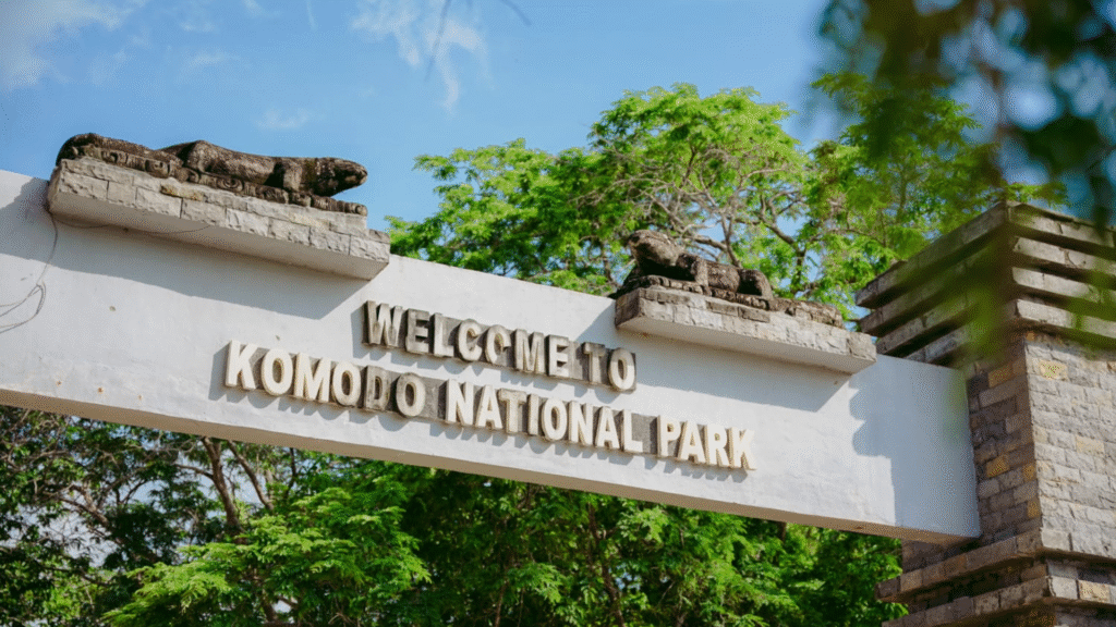 Komodo Vacation Package: Choose the Right Island Experience