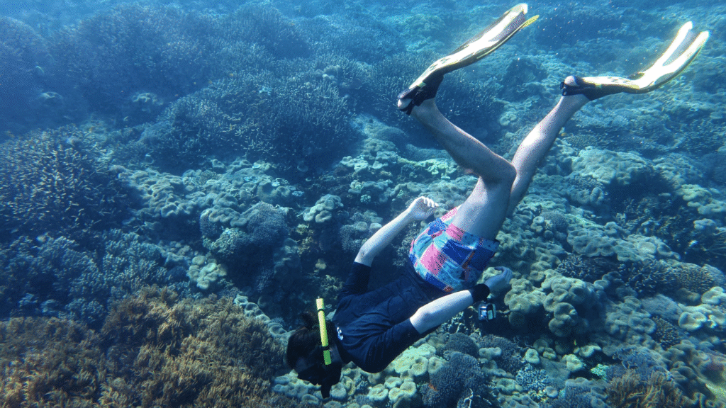 Diving in Komodo: Explore a World Beneath the Surface