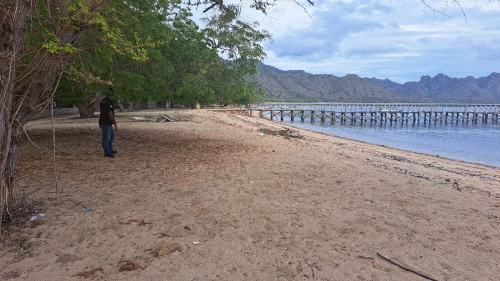 Komodo Island Weather: What to Expect During Your Visit
