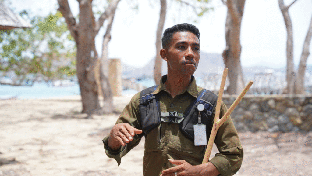 Komodo Island Travel Tips: What to Know Before Your Trip