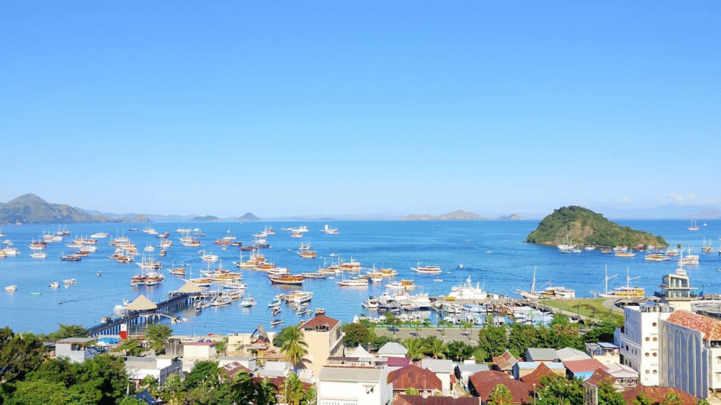 Best Time for Komodo Cruise: Plan Your Perfect Island Adventure