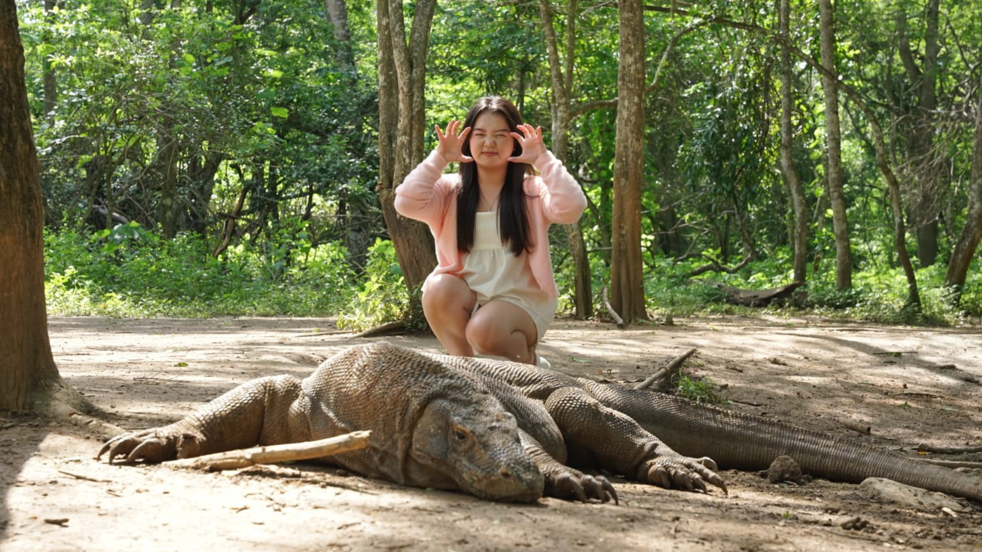 Things to Do in Komodo National Park: Top Experiences You Shouldn't Miss