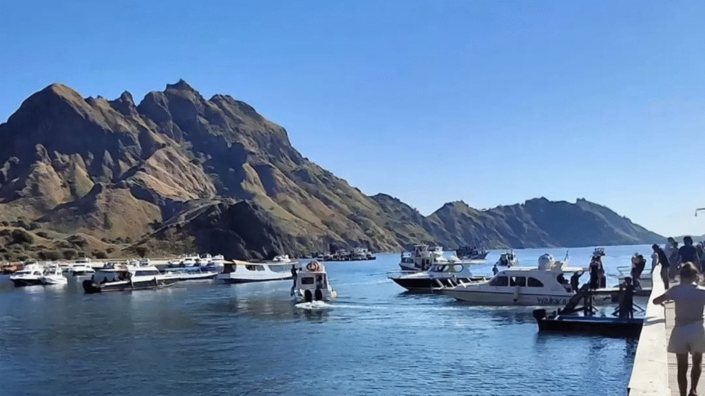 Komodo Sailing Trip: Discover the Beauty of Komodo National Park