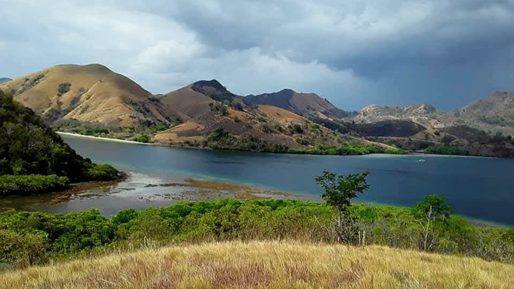 Enjoy a Komodo Island Hopping Cruise with stunning islands, snorkeling, wildlife, and unforgettable sailing adventures in Komodo National Park.