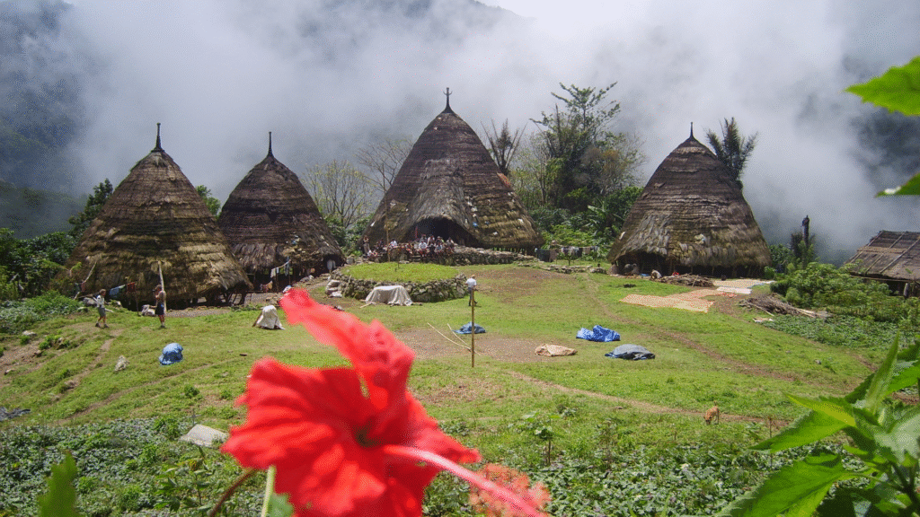 Komodo Adventure Tour: Experience the Wild Beauty of Komodo National Park