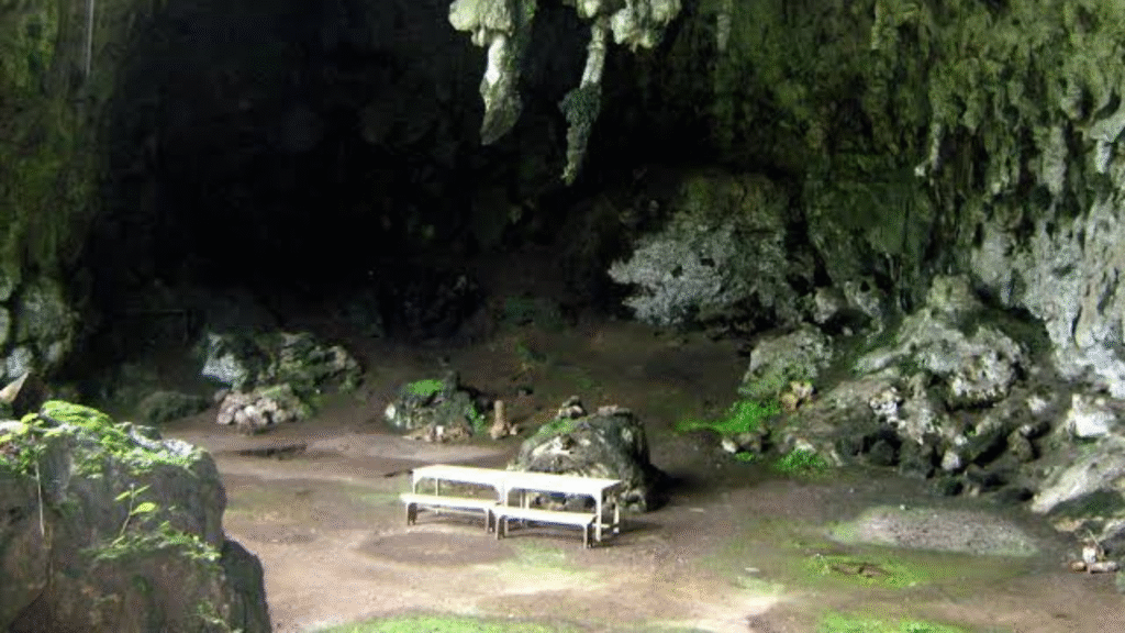 Tour Gua Liang Bua Ruteng: Explore Flores' Fascinating Past