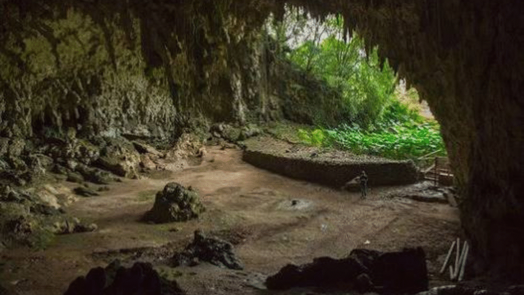Liang Bua Cave Tour Flores: Explore the Home of Homo floresiensis