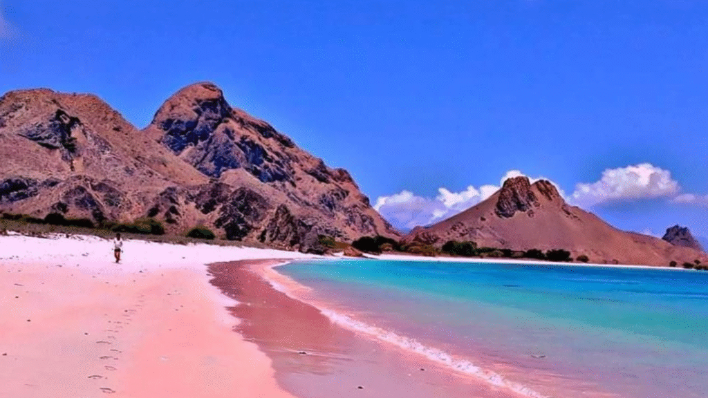 Komodo Adventure 3 Days 2 Nights: An Unforgettable Island Escape