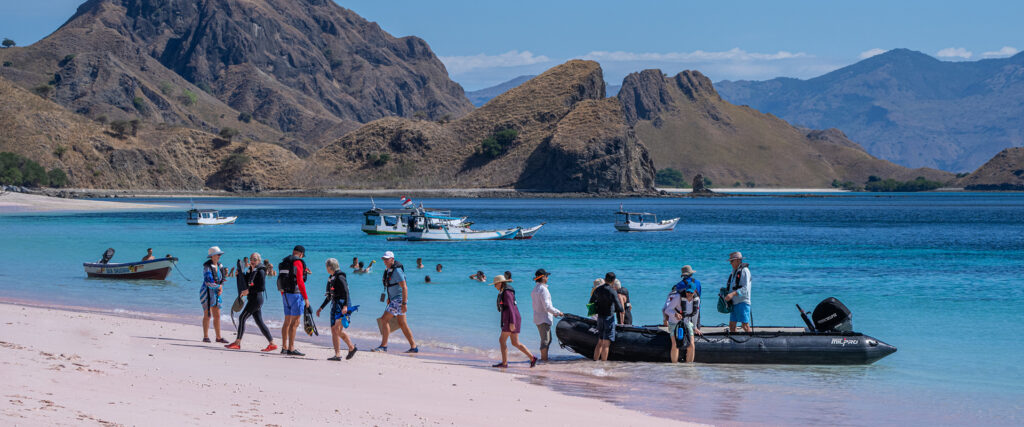 One-Day Komodo Cruise Excursion: What to See and Do