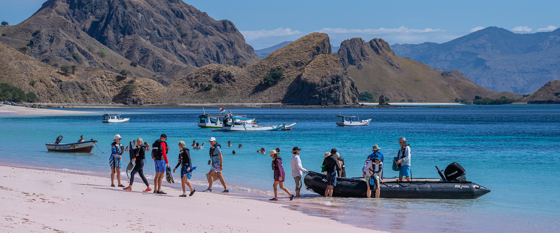 One-Day Komodo Cruise Excursion: What to See and Do