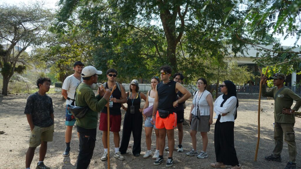 Komodo National Park Activities: Things to Do Beyond the Dragons
