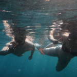 Komodo Island Tour With Snorkeling and Wildlife