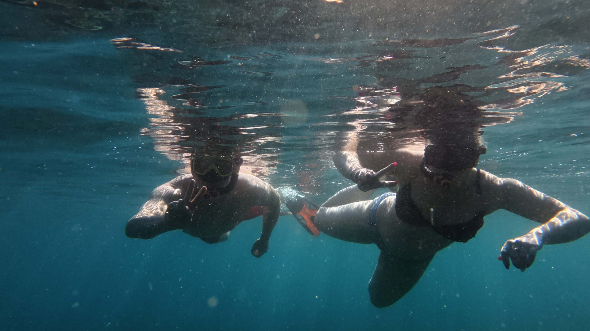 Komodo Island Tour With Snorkeling and Wildlife