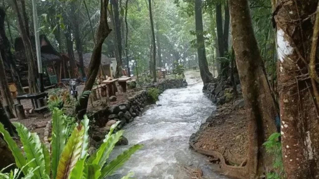 Wae Bobok: A Forest Escape Near Labuan Bajo