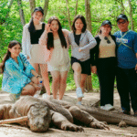 Komodo Island Tour for Families: A Practical Travel Guide