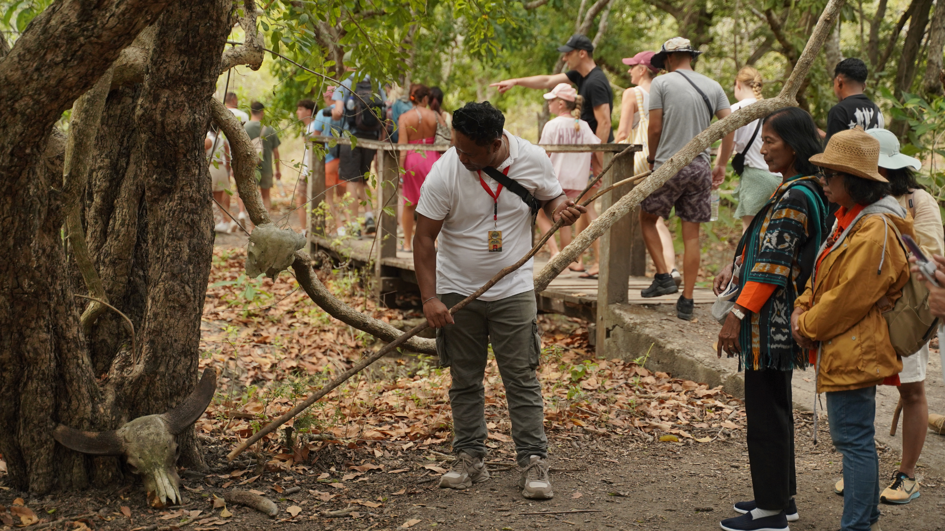 Komodo Island Private Tour: A Flexible Way to Explore