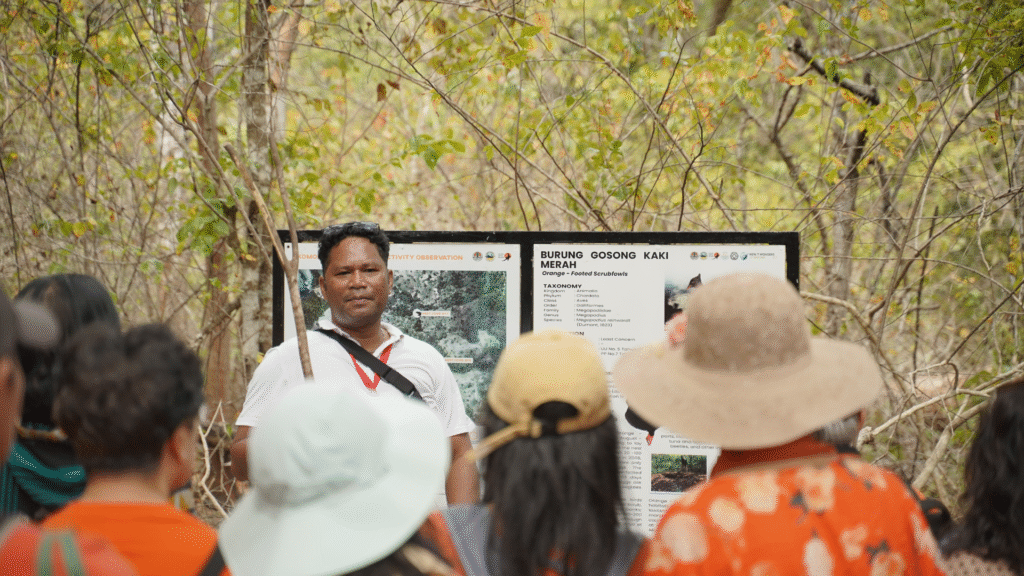 Komodo Private Tour Guide: Plan a More Personal Trip