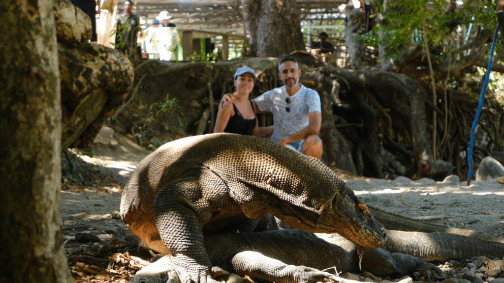 Affordable Private Komodo Tour: How to Plan Your Trip